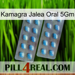 Kamagra Oral Jelly 5Gm viagra4